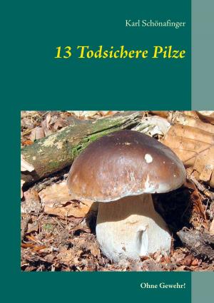 Cover of the book 13 Todsichere Pilze by Joseph von Eichendorff