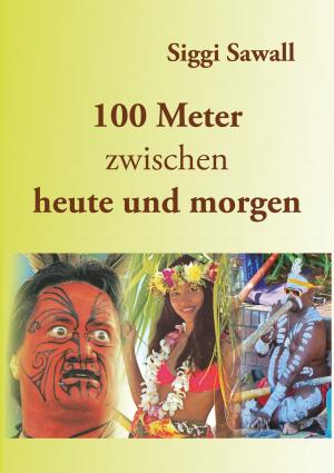 Cover of the book 100 Meter zwischen heute und morgen by Gustav Krüger