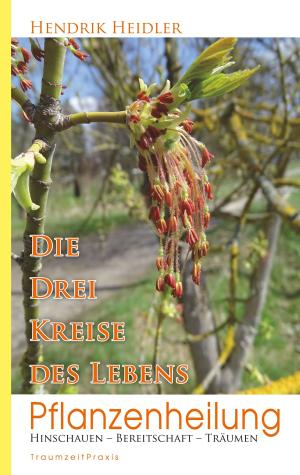 Cover of the book Pflanzenheilung by Brigitte Bérenguier