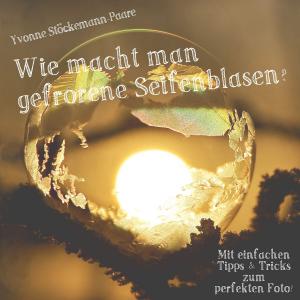 Cover of the book Wie macht man gefrorene Seifenblasen? by Sylvia Eisenmenger