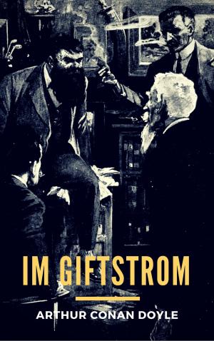 Cover of the book Im Giftstrom by Pea Jung