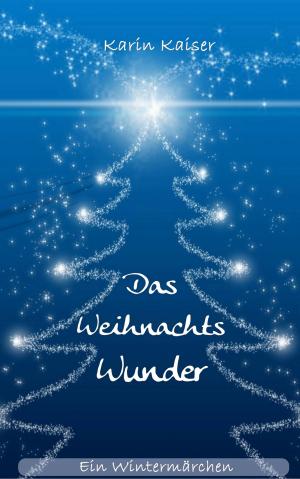 Cover of the book Das Weihnachtswunder by Romy Fischer
