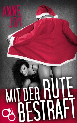 Cover of the book Mit der Rute bestraft by Rüdiger Schneider