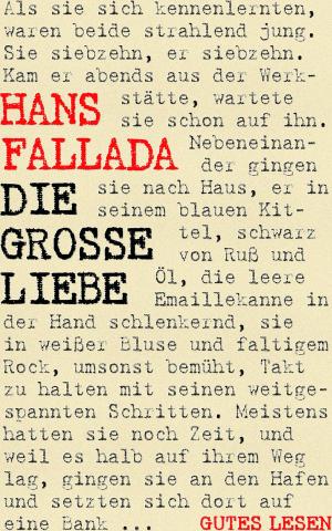 Cover of the book Die große Liebe by Kurt Dröge