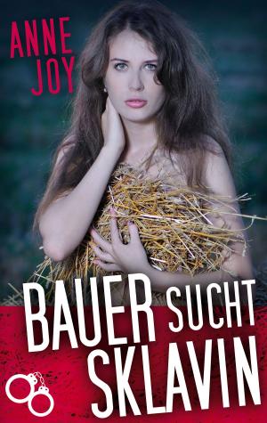 Book cover of Bauer sucht Sklavin