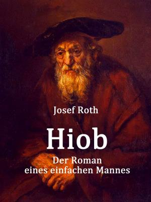 Cover of the book Hiob by Frank Böttger