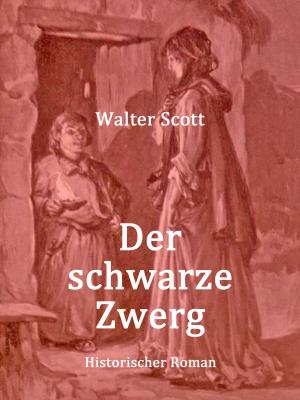 Book cover of Der schwarze Zwerg
