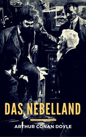 Cover of the book Das Nebelland by Marc-Michael H. Bergfeld