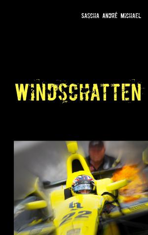 Cover of the book Windschatten by Daniela Schinko