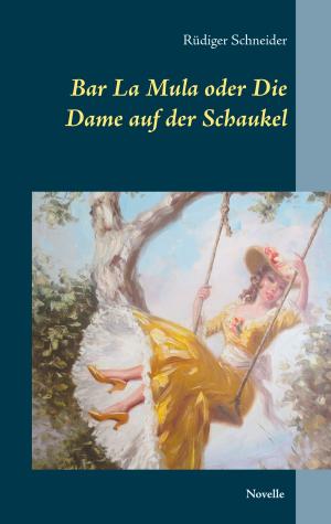 Cover of the book Bar La Mula oder Die Dame auf der Schaukel by Anja Buchmann
