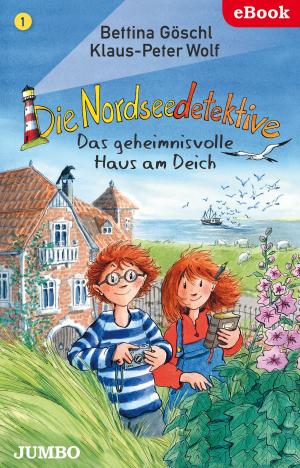 Book cover of Die Nordseedetektive. Das geheimnisvolle Haus am Deich
