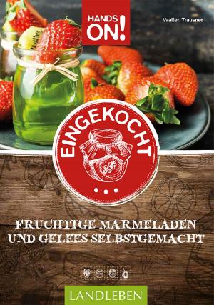 Cover of the book Hands on: Eingekocht by Colette Prommer, Stefan Grossauer