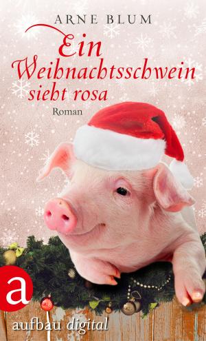 Cover of the book Ein Weihnachtsschwein sieht Rosa by Ellen Berg