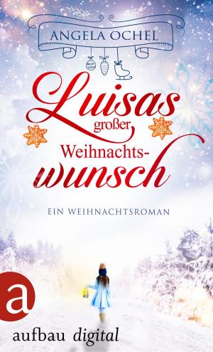 Cover of the book Luisas großer Weihnachtswunsch by Ellen Berg