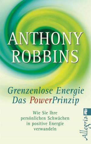 Cover of the book Grenzenlose Energie - Das Powerprinzip by Günther Willen