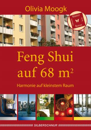 Cover of the book Feng Shui auf 68 qm by Kurt Tepperwein