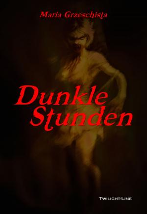 Cover of the book Dunkle Stunden by Nadine Schneider