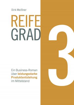 Cover of the book Reifegrad 3 by 