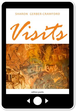 Book cover of Visits