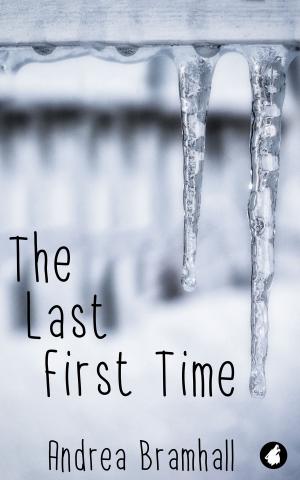 Cover of the book The Last First Time by Alison Grey