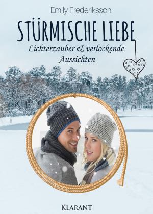 Book cover of Stürmische Liebe. Lichterzauber und verlockende Aussichten