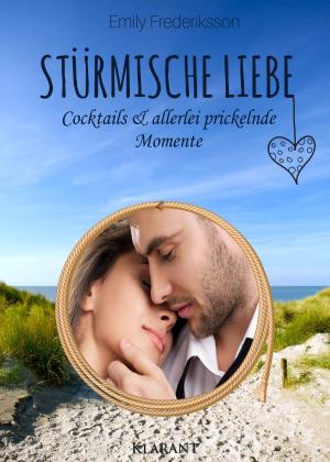 Cover of the book Stürmische Liebe. Cocktails und allerlei prickelnde Momente by Edna Schuchardt