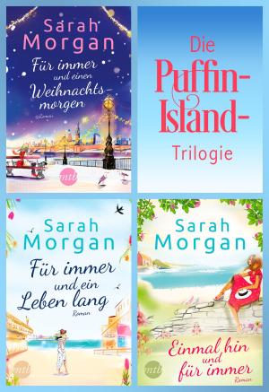 Cover of the book Die Puffin-Island-Trilogie by Petra Schier
