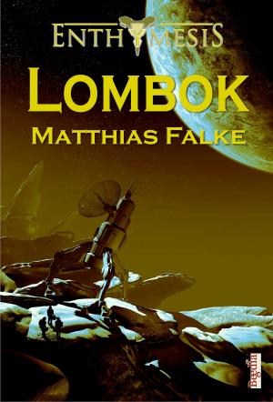 Cover of the book Lombok by Ben B. Black, Lothar Bauer, D. J. Franzen