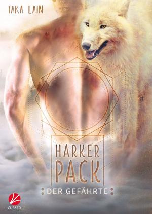 Cover of the book Harker Pack: Der Gefährte by Andrew Grey