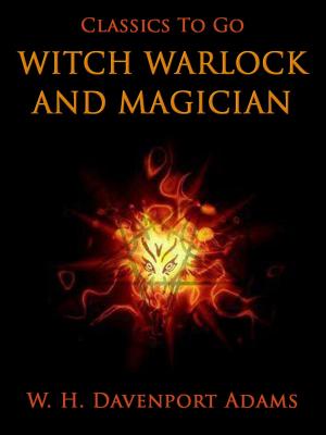 Cover of the book Witch, Warlock, and Magician by Raffaella Ferrari