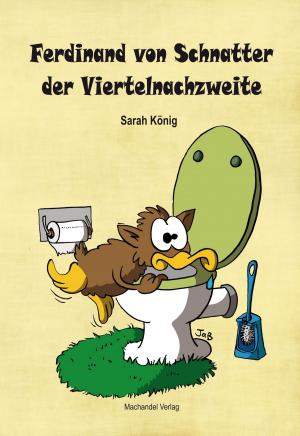 Cover of the book Ferdinand von Schnatter der Viertelnachzweite by Sarah König
