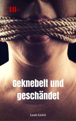 Book cover of Geknebelt und geschändet