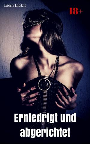 Cover of the book Erniedrigt und abgerichtet by Leah Lickit
