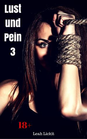 Book cover of Lust und Pein 3