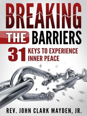 Cover of the book Breaking the Barriers - Second Edition by Jana Pordiáz