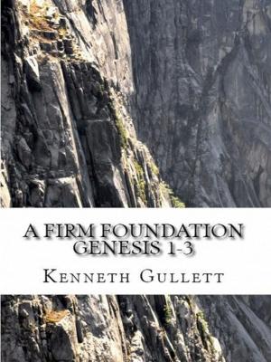 Cover of the book A Firm Foundation by Patrick Huet