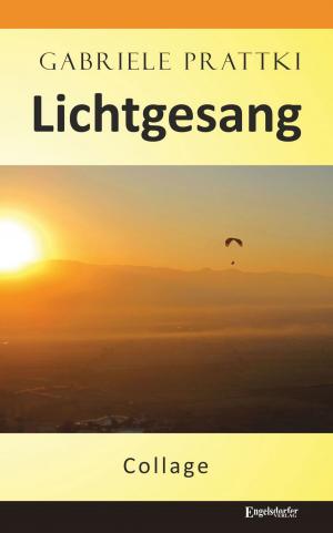 Cover of the book Lichtgesang by Amy Fuglø
