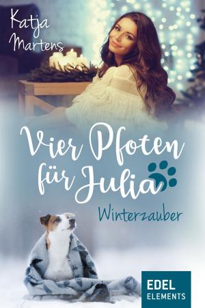 Book cover of Vier Pfoten für Julia - Winterzauber