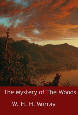 Book cover of The Mystery of The Woods
