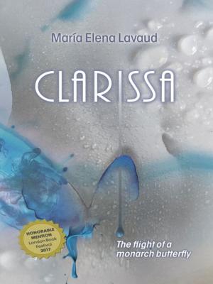 Cover of the book Clarissa by Evangelist Harrison Johnson Uche