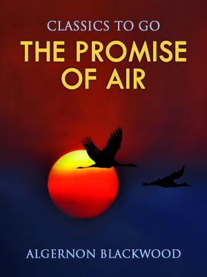 Cover of the book The Promise of Air by Robert Barr