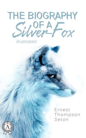 Cover of the book The Biography of a Silver-Fox by Илья Ильф, Евгений Петров