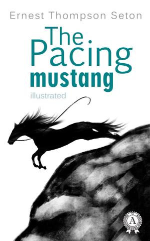 Book cover of The Pacing mustang