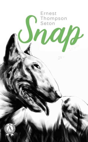 Cover of the book Snap by Валерий Брюсов