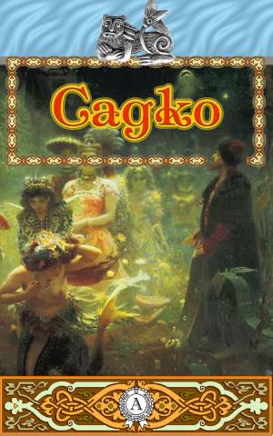 Cover of the book Садко by Валерий Сергеев, Виктор Хорошулин
