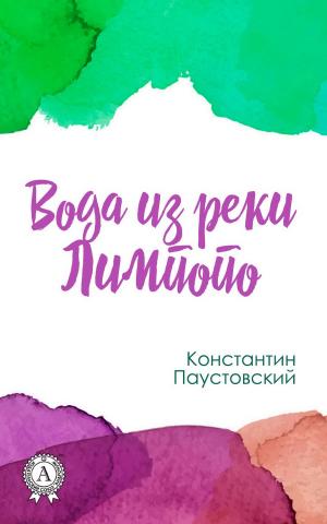 Cover of the book Вода из реки Лимпопо by Федор Достоевский