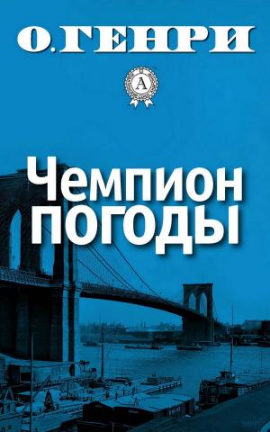 Cover of the book Чемпион погоды by Diego Luci