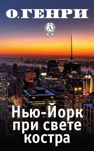 Book cover of Нью-Йорк при свете костра