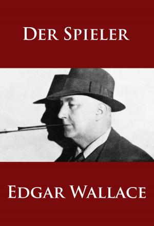 bigCover of the book Der Spieler by 