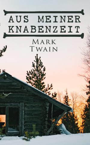 Cover of the book Aus meiner Knabenzeit by Arthur Bernède